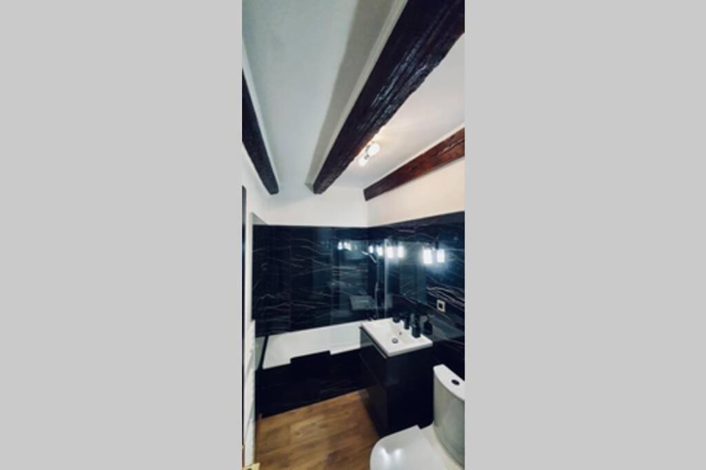 Le Carnot 2 Etoiles Hypercentre Vieille Ville Анси Экстерьер фото